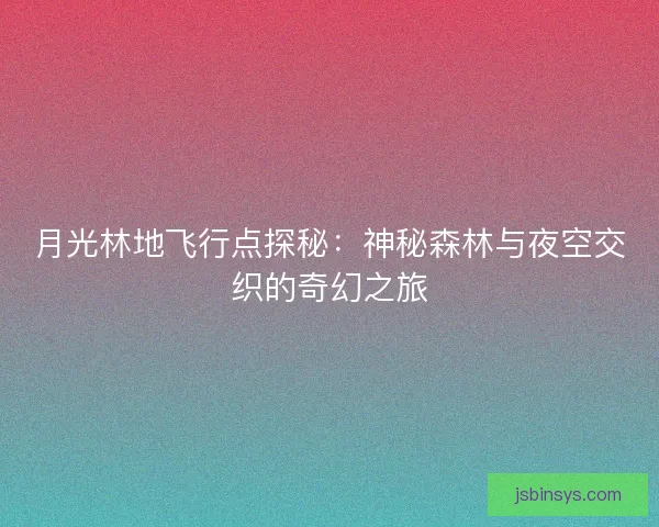 月光林地飞行点探秘：神秘森林与夜空交织的奇幻之旅