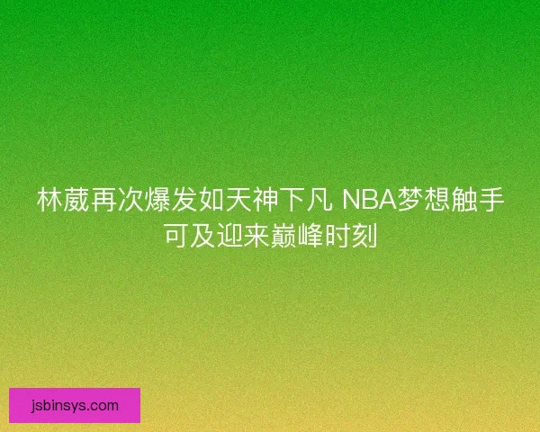 林葳再次爆发如天神下凡 NBA梦想触手可及迎来巅峰时刻